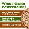 Food to Live Organic Whole Unhulled Barley, 2 Pounds - Premium Quality Seeds with Husk Intact. 100% Natural, High in Fiber. Kosher Grain. view 4