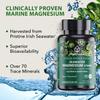 PlantFusion Vegan Magnesium Complex 375mg from Sea Water, Bioavailable Marine Magnesium with Fermented Organic Whole Food Blend, Non-GMO, Muscle & Relaxation Support, 120 Cap view 3