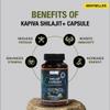 Organic Himalayan Shilajit Resin Extract with Ashwagandha & Turmeric-400mg Max Potency, Lab Tested Pure Shilajit for Men & Women, 85+ Trace Minerals, Immune Support, Energy, 2 Month Supply-120 Capsule view 4