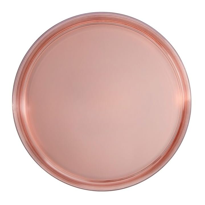 10 inch Transparent Rose Plastic Dinner Plates Disposable, Elegant, Durable, Versatile Plates for Everyday Use, Parties, and Special Occasions BPA-Free, Easy to Clean, and Stylish Tableware (20)