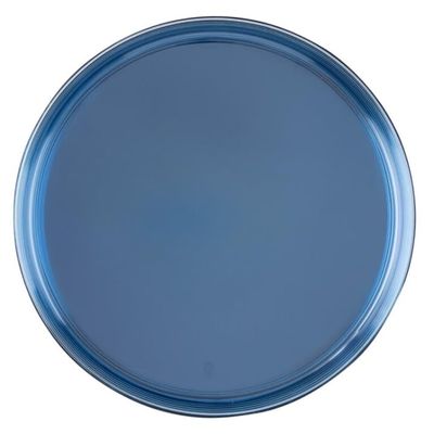 10 inch Blue Transparent Plastic Dinner Plates Disposable, Elegant, Versatile Plates for Everyday Use, Parties, Desserts, Special Occasions BPA-Free, Easy to Clean, Stylish Tableware (240)