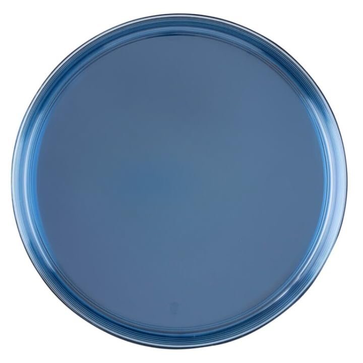 10 inch Blue Transparent Plastic Dinner Plates Disposable, Elegant, Versatile Plates for Everyday Use, Parties, Desserts, Special Occasions BPA-Free, Easy to Clean, Stylish Tableware (240)