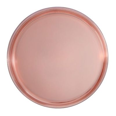 10 inch Transparent Rose Plastic Dinner Plates Disposable, Elegant, Durable, Versatile Plates for Everyday Use, Parties, and Special Occasions BPA-Free, Easy to Clean, and Stylish Tableware (70)