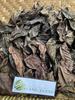 Daun Salam - Syzygium polyanthum Dried Leaf (80 Gram) view 2