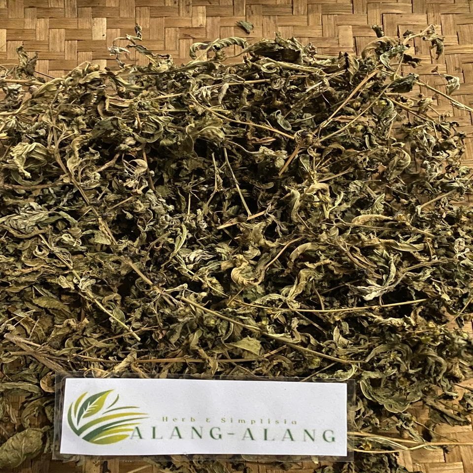 Daun Sidaguri - Sida rhombifolia Dried Leaf (80 Gram)