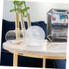 Luxshiny 2pcs Preserved Flower Glass Dome Cover for Decor Display for Artificial Plants Tabletop Centerpiece for Occasion view 2