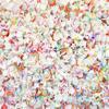 Sky Theme Polymer Clay Sprinkle Mix with Craft Glitter, Faux Polymer Clay Sprinkle for Decoden Funfetti Jimmies DIY Crafts (15 gram Bag) view 1