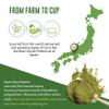 Kyoto Dew Matcha - Ceremonial Blend Authentic Japanese First Harvest - USDA Organic Ceremonial Grade Matcha Green Tea Powder from Uji, Kyoto, Bag (3.5oz) view 2