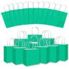 qiqee 30PCS Medium Gift Bag with Handles Bulk 11"x5"x8" Gift Bags Lake Green Bags Multiple Uses (Medium Size) view 2