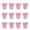 Glomora 12pcs Mini Metal Bucket, Hollow Heart Shaped Bucket with Handle for Candies Outdoor Flower Cosmetics view 1