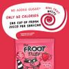 The FROOT Thief Real Fruit Snack Whips, Nut Free, Perfect for School Lunches, Individual Bags for Kids, Strawberry 5 Pack view 3