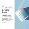 Alaya Naturals Micronized Creatine Monohydrate Powder Pure Performance Fuel for Strength, Mental Focus, Vegan, Non-GMO, Easily Mixable & Flavorless - 5 g view 4