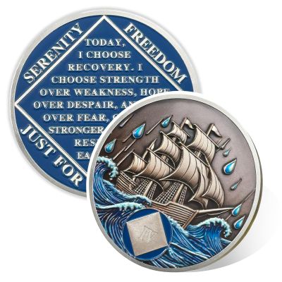 Vitalway Braving the Storm 4 Year Sobriety Coin, NA Recovery Medallion