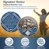 Vitalway Braving the Storm 4 Year Sobriety Coin, NA Recovery Medallion view 2