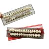 56pcs Dental Synthetic Resin Teeth Denture False Tooth Denture Model Teeth 2 Sets Halloween Horror Teeth, 23 A2 view 1