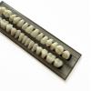 56pcs Dental Synthetic Resin Teeth Denture False Tooth Denture Model Teeth 2 Sets Halloween Horror Teeth, 23 A2 view 4