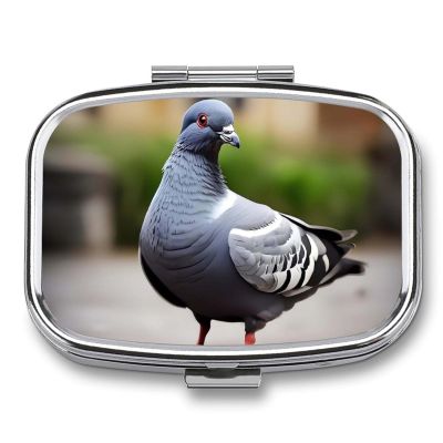 Grey Pigeon Pill Box for Purse Pocket Small Square Pill Case Decorative Medicine Box Travel Medicine Tablet Case Vitamin Organizer Pill Container Holder Unique Gift