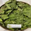 Daun Jarak Pagar - Jatropha curcas leaf Dried Leaf (80 Gram) view 1