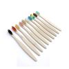 KHOGSBPSW Manual Toothbrush 10 Pcs Mixed Color Toothbrush Toothbrush Soft Bristle Oral Care Toothbrush Toothbrush(10PCS Rainbow Color) view 4