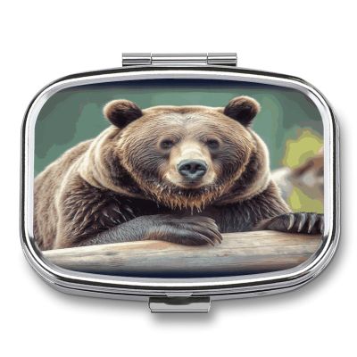 Grizzly Bear Pill Box Pill Organizer Pill Case 2 Compartment Medicine Pill Organizer Small Pill Case Pill Container Pill Holder Cute Pill Box Mini Pill Case