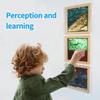 3 Packs Wall-Mounted Sequin Sensory Wall Frame, 13''x13'' Reversible Sequin Sensory Panel with Solid Wood Frame, Early Learning & Development, Ideal for Sensory Rooms, Therapy, Education, and Home Use view 4