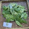 Anacardium occidentale Dried Leaf (80 Gram) view 3