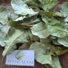 Anacardium occidentale Dried Leaf (80 Gram) view 4