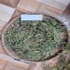 Daun Putri Malu - Mimosa pudica Dried Leaf (900 Gram) view 4