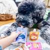 BUDDY BUDDER Dog Peanut Butter, 9 Pack Mixed Flavors, 4oz Pouches Dog Peanut Butter, Made in USA view 3