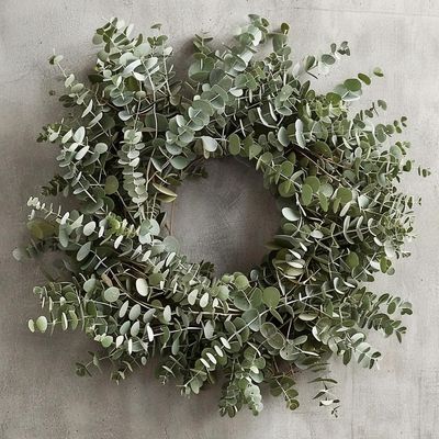 Fresh Eucalyptus Wreath Living Leaves 24" [California] Baby Blue Variety [Shipped Overnight] for Front Door Natural Wreath for Indoor Outdoor Farmhouse Festival Home Decor