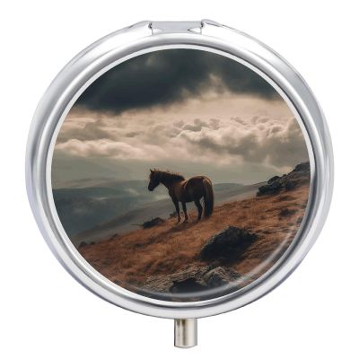 Horse Grazing on The Mountain Pill Box Cute Round Pill Box 3 Compartment Decorative Pocket Purse Portable Mini Travel Medicine Tablet Vitamin Fish Oil Holder Organizer Pill Case