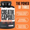 Crazy Muscle Creatine Capsules, 5g of Premium 3X ThreeAtine Pre Workout Bulk Mass Gainer, High Absorption Easy to Take Creatine Monohydrate, Optimum Performance for Men Women, 360 Capsules view 3