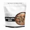 100% Organic jamalgota beej - 100g - Jamalghota Beej - Jamal ghota Seeds - Croton Seeds - Croton Tiglium view 1