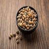 100% Organic jamalgota beej - 100g - Jamalghota Beej - Jamal ghota Seeds - Croton Seeds - Croton Tiglium view 3
