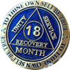 18 Month AA Medallion Reflex Blue Gold Plated Sobriety Chip Serenity Prayer Back view 1