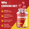 2000mg Berberine Supplement Gummies High Potency Wellness Blend with Ceylon Cinnamon, Turmeric, Magnesium & Chromium, Vegan, Non-GMO, Gluten-Free, Peach Flavor, 60 Gummies - 1 Pack view 2