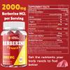 2000mg Berberine Supplement Gummies High Potency Wellness Blend with Ceylon Cinnamon, Turmeric, Magnesium & Chromium, Vegan, Non-GMO, Gluten-Free, Peach Flavor, 60 Gummies - 1 Pack view 3