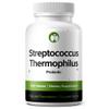 Streptococcus Thermophilus Probiotic 240 Tablets (4 Month Supply) Researched Strain ST81 3 Billion CFU Digestive Health & Lactose Support GMP Certified (240, Streptococcus Thermophilus) view 1