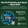 Streptococcus Thermophilus Probiotic 240 Tablets (4 Month Supply) Researched Strain ST81 3 Billion CFU Digestive Health & Lactose Support GMP Certified (240, Streptococcus Thermophilus) view 2
