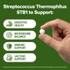 Streptococcus Thermophilus Probiotic 240 Tablets (4 Month Supply) Researched Strain ST81 3 Billion CFU Digestive Health & Lactose Support GMP Certified (240, Streptococcus Thermophilus) view 4