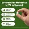 Lactobacillus Helveticus Probiotic 240 Tablets (4 Month Supply) Researched Strain LH76 3 Billion CFU Digestive Health & Mood Support GMP Certified (240, Lactobacillus Helveticus) view 4