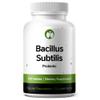 Bacillus Subtilis Probiotic 240 Tablets (4 Month Supply) Researched Strain BS31 3 Billion CFU Digestive Health & Immune Support GMP Certified (240, Bacillus Subtilis) view 1