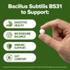 Bacillus Subtilis Probiotic 240 Tablets (4 Month Supply) Researched Strain BS31 3 Billion CFU Digestive Health & Immune Support GMP Certified (240, Bacillus Subtilis) view 4