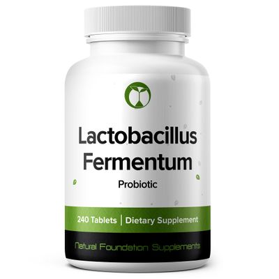 Lactobacillus Fermentum Probiotic 240 Tablets (4 Month Supply) Researched Strain LF61 3 Billion CFU Digestive Health & Antioxidant Support GMP Certified (240, Lactobacillus Fermentum)