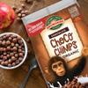 EnviroKidz Organic Choco Chimps Cereal, 24 oz (Pack of 1), Chocolate, Gluten Free, Non-GMO, Fair Trade, by Nature's Path view 2