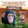 EnviroKidz Organic Choco Chimps Cereal, 24 oz (Pack of 1), Chocolate, Gluten Free, Non-GMO, Fair Trade, by Nature's Path view 3