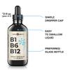 B1 B6 B12 Vitamin Liquid Drops - Nerve, Energy, Brain Support Supplement - Fruity-Like Flavor - Methylcobalamin, Thiamine, Pyridoxine (2) view 2