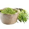 100% Pure Sun-Dried Wheatgrass Powder | Wheatgrass Shot | Smoothi/Juices | Energy Balls | Chemical-Free | Nutrient Retention | Preservative-Free, Organic, Vegan, Eco-Friendly | 150 Grams | 5.29 oz view 1
