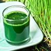 100% Pure Sun-Dried Wheatgrass Powder | Wheatgrass Shot | Smoothi/Juices | Energy Balls | Chemical-Free | Nutrient Retention | Preservative-Free, Organic, Vegan, Eco-Friendly | 150 Grams | 5.29 oz view 2