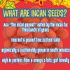 Brass Roots Organic Incan Protein Seeds - High Protein, School Safe, Nut Free, High Omega 3, Supports Gut Health, Good Source of Fiber, Shark Tank (10 oz (Pack of 1), Cajun) view 4